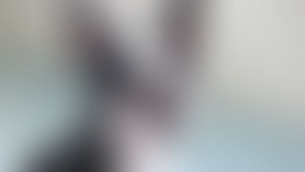 小さな紳士に大きな愛嬌ボストンテリアの魅力と育て方