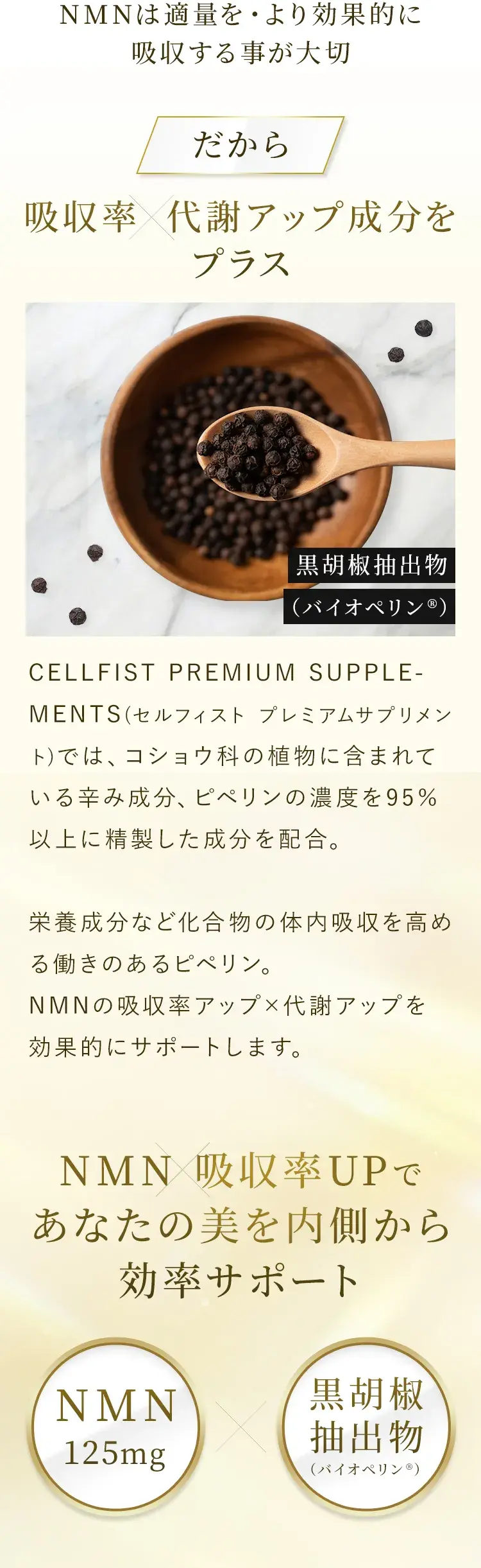 NMNの吸収
