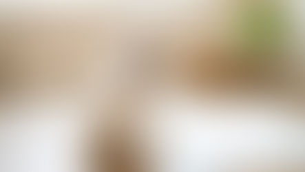 愛犬のおしっこトラブル!「ストルバイト結石」の原因と予防・ケア方法
