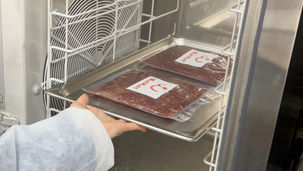 夏の生食、ちゃんと管理できてる?愛犬の体調を守るための生肉の取り扱い方