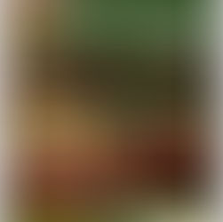 頓堀宿泊室がH.I.S.さんとコラボ!!