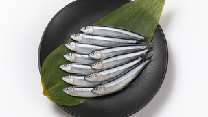 WANMARTの国産キビナゴ(500g / 1kg)