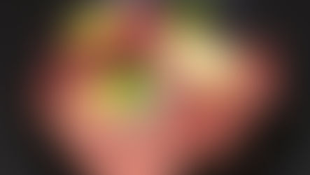 ローフード(生食) 完全ガイド:愛犬のごはんを“もっとおいしく・もっと健やかに”