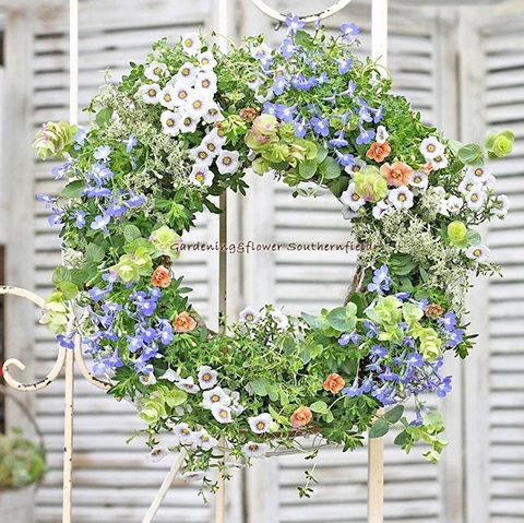 季節の花寄せ植え おまかせギャザリングリース仕立て 35cm | サザン