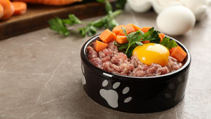 フレッシュフード