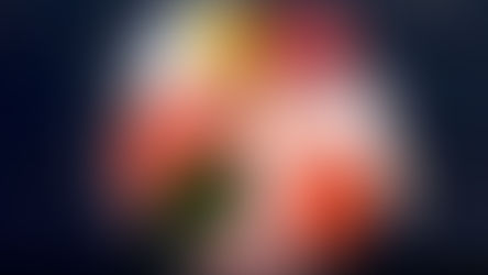 生食ドッグフードの魅力と始め方|愛犬にとって理想の食事とは?