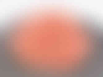 PERFECT Chicken (鶏)