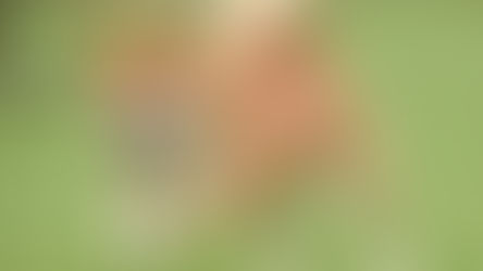 柴犬をもっと知る5つの秘密〜毎日のしぐさに隠れたサインと健康サポート〜