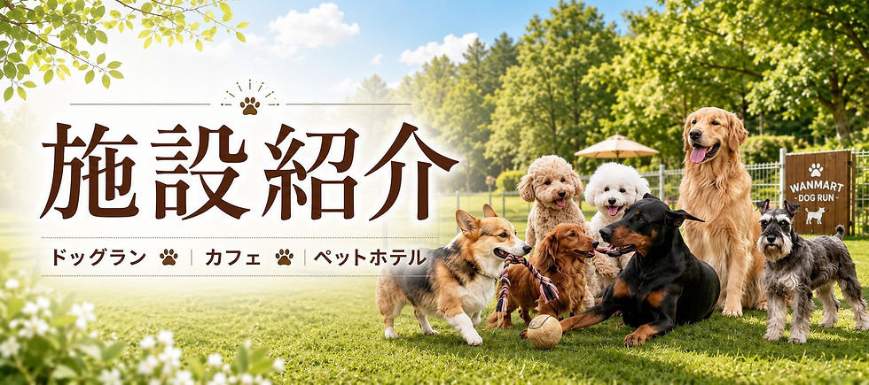 施設紹介バナー.jpg