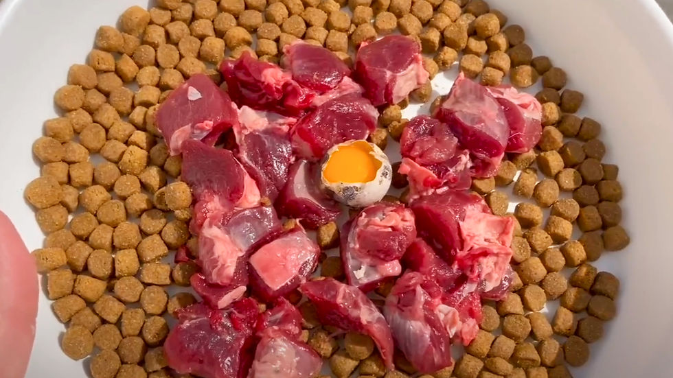 生肉をトッピングした府ドライフード