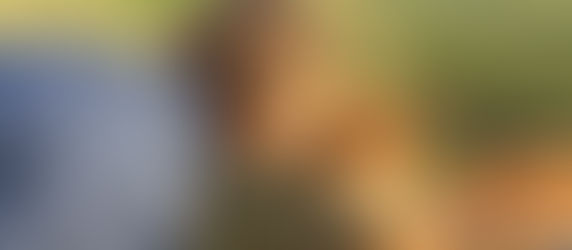 February - Valentines Paccas