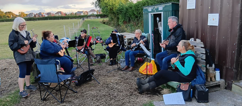 A September to Remember at Artemis Alpacas: Ukulele Jams & Furry Backup Singers