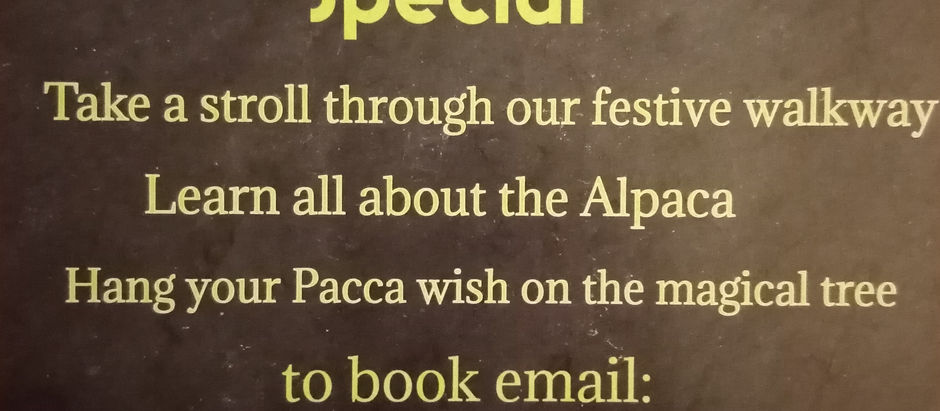 Xmas Pacca Treat