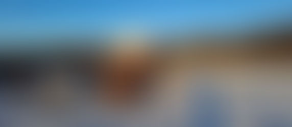 Happy New Pacca Year!