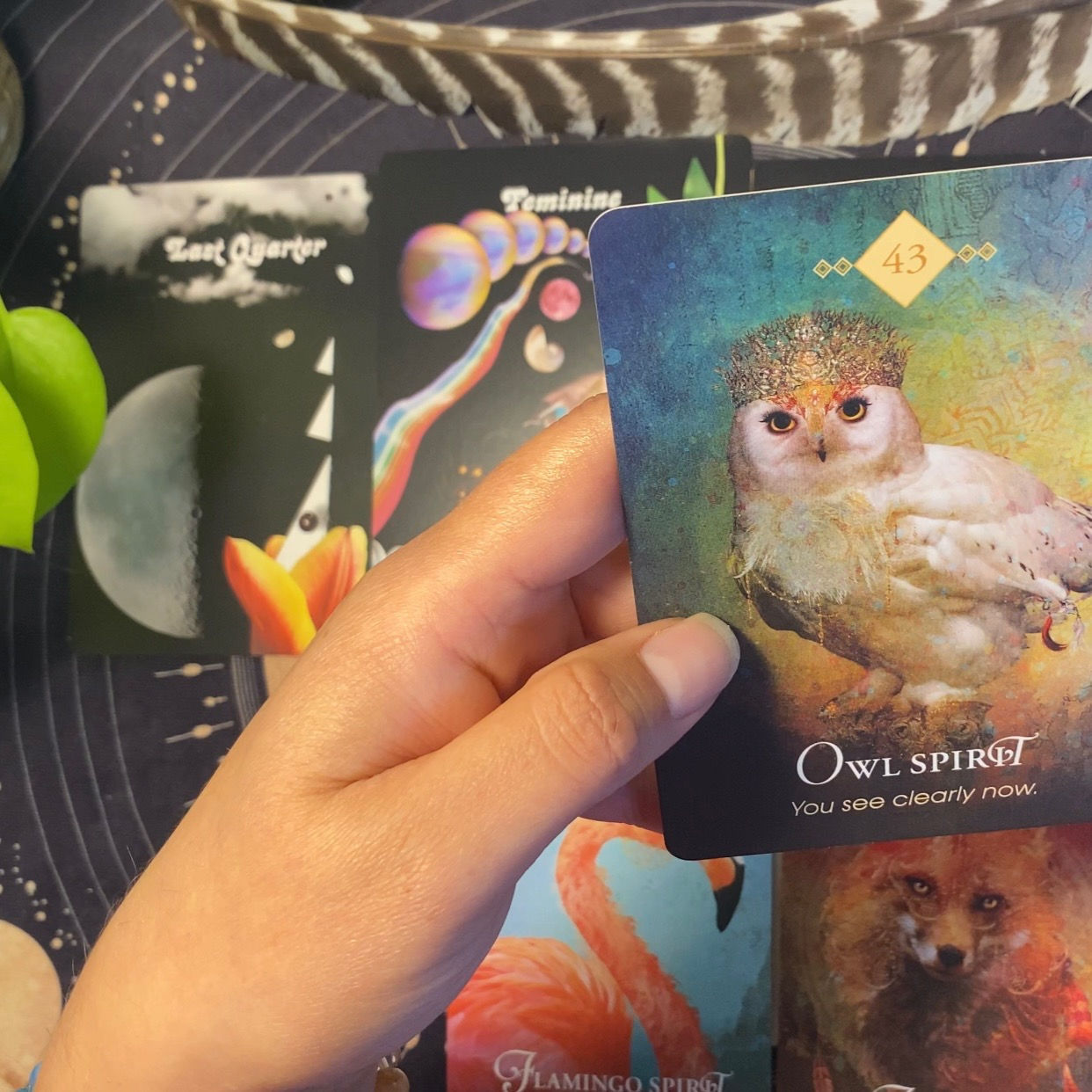 Heart Oracle Reading (Video)