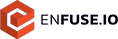 Enfuse.io, partner in USA
