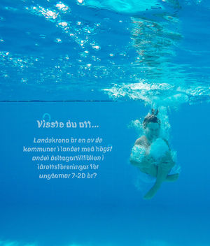 Landskrona stad Internship