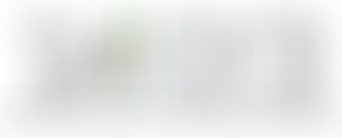 Vseslovensko srečanje članov društva