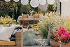 plants-next-to-rattan-sofa-with-pillows-on-the-ter-2024-10-20-19-03-40-utc.jpg