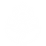 ITPTC - white.png