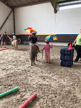 IMG_2188.jpeg