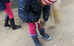 IMG_5143.jpeg