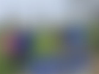 Holywell George V Playing Fields parkrun