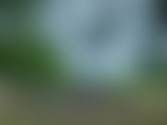 Parkrun Weekend Double! - Kennington Park Junior parkrun #173 - 29/06/25