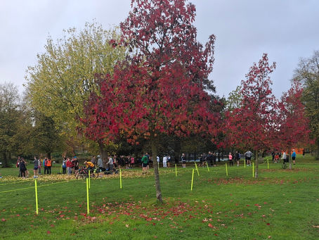 Germany Unity Day, unifying parkrunners! - Burgess parkrun #540 - 02/11/24