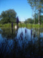 DSCN0281