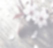 Flower for WBP_edited_edited.jpg