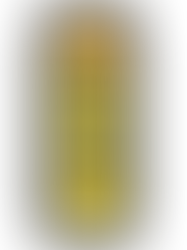 C4 PERFORMANCE ENERGY - PINEAPPLE HEAD