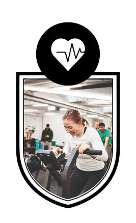 NoSP Shield COND 1.jpg