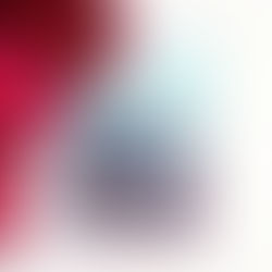 Recenzija: Mestne ptice