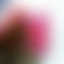 Recenzija: Wilde Women