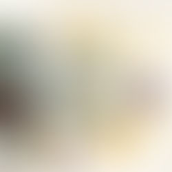 Recenzija: Na perišču