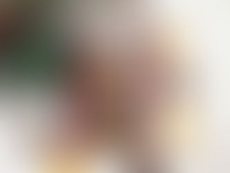 Recenzija: Jaz in ti, deklici iz Auschwitza