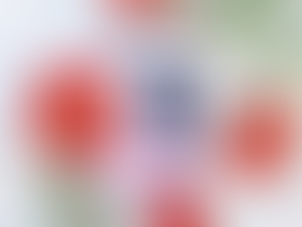 Recenzija: Materinska knjižica