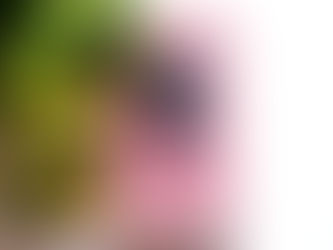 Recenzija: Kradljivka knjig