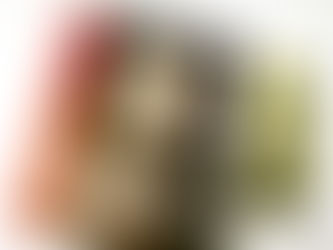 Recenzija: Očetnjava