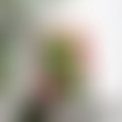 Recenzija: Vseh sedem mož Evelyn Hugo