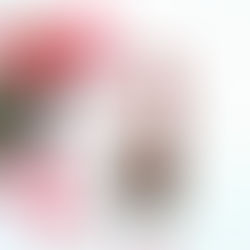 Recenzija: Rdeča kapica