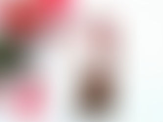 Recenzija: Rdeča kapica