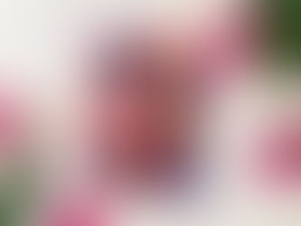 Recenzija: Kako je umrl Vivek Oji