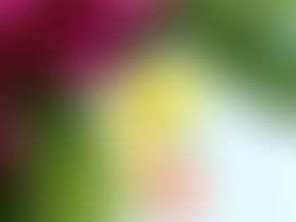 Recenzija: Roman za plažo