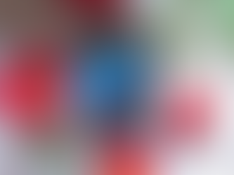 Recenzija: Na lovu za tihotapci