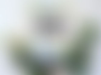 Recenzija: Ujetnica pragozda