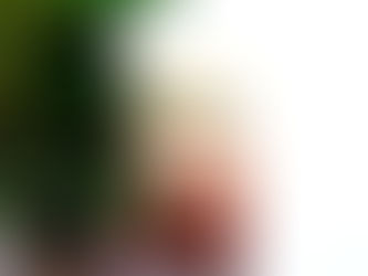 Recenzija: Tetovator iz Auschwitza