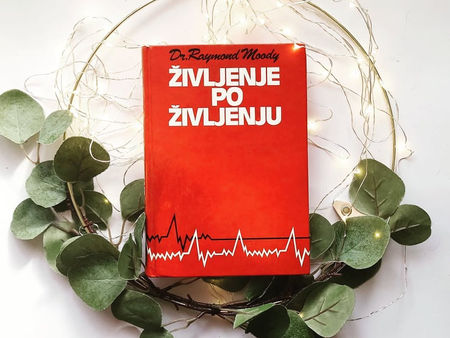 Recenzija: Življenje po življenju