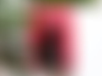 Recenzija: Will my cat eat my eyeballs?